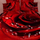 Постельное белье Роза на бордовом Волшебные сны мако-сатин
