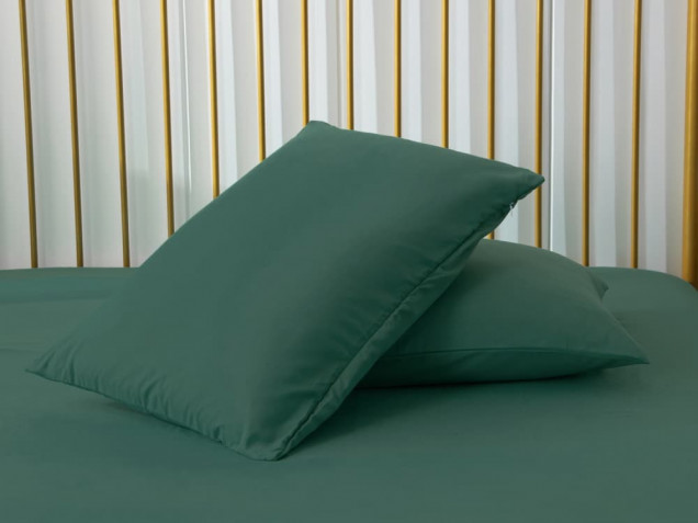 Комплект постельного белье CS 49 Viva-Home Textile сатин
