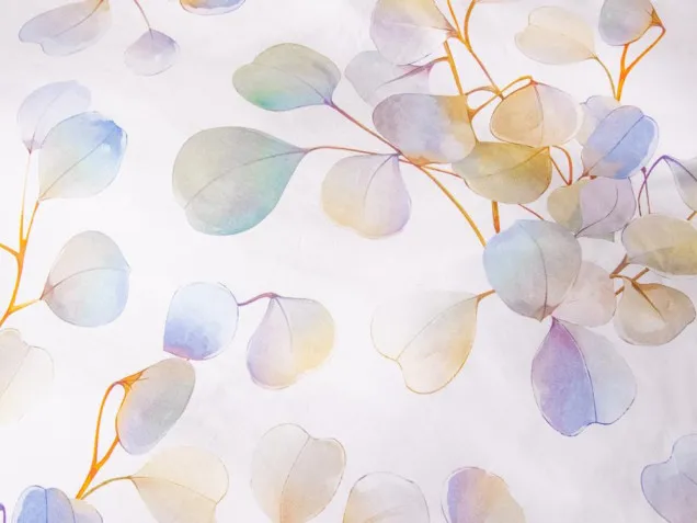 Комплект постельного белье CPA048 Сатин Премиум