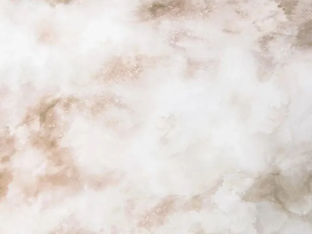 Комплект постельного белье CPA053 Сатин Премиум